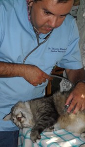 Veterinario Eduardo Hidalgo